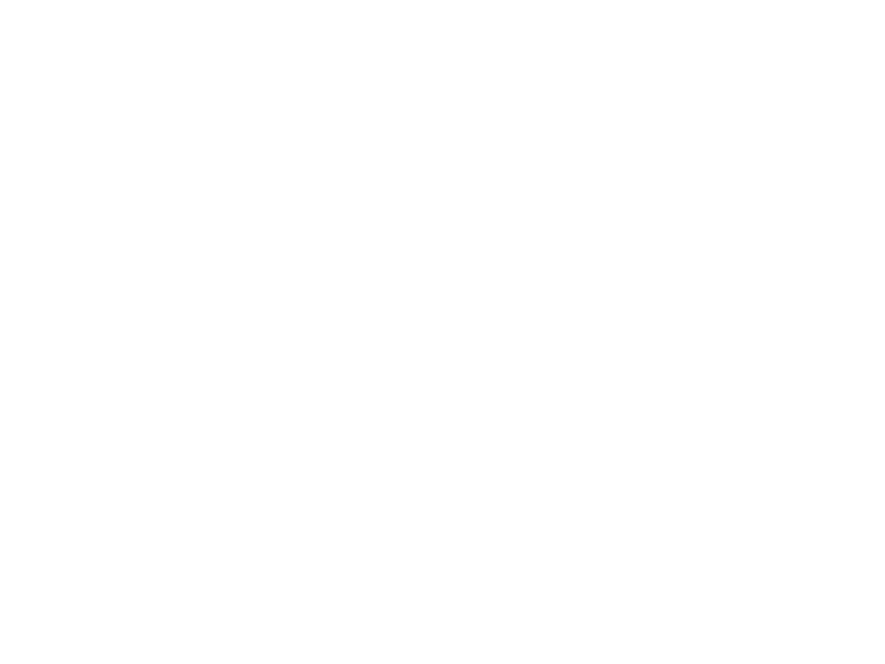 AANDAGT | Logo Zwan