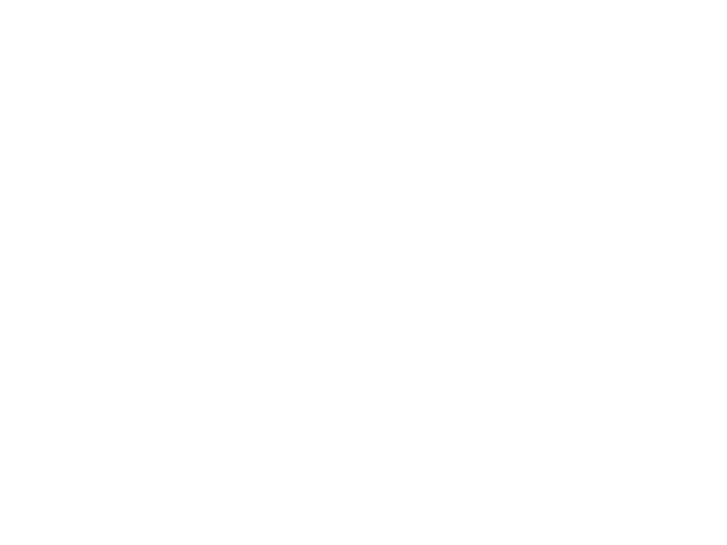 AANDAGT | Logo Zwanenberg